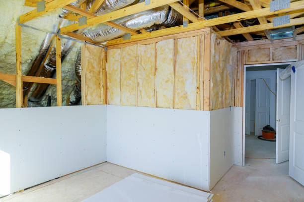 Best Insulation Contractor Near Me  in Angustura, NM